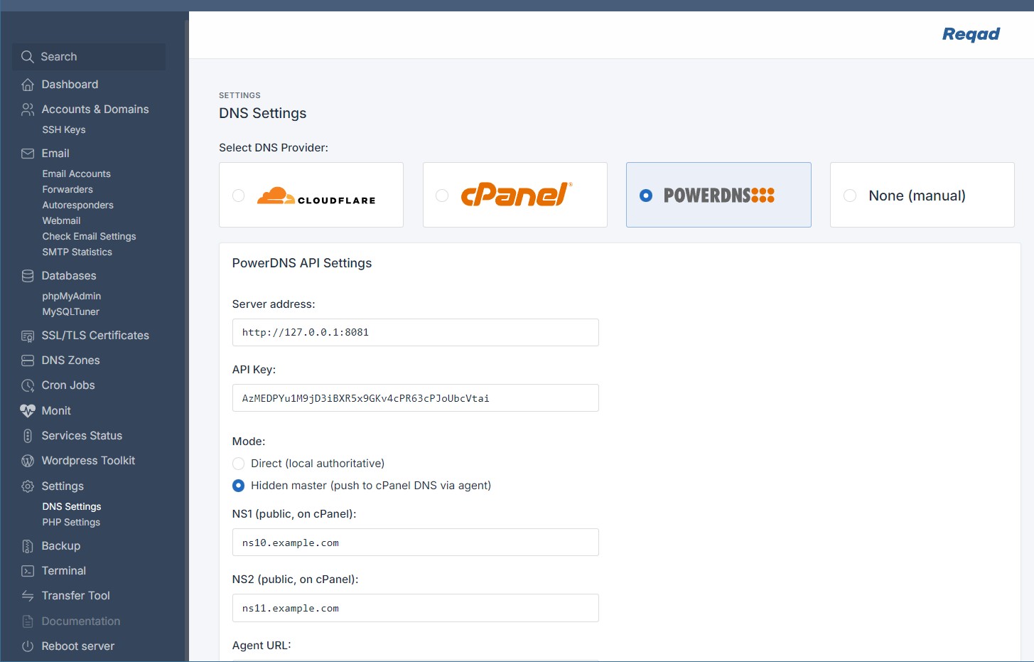 Reqad DNS settings